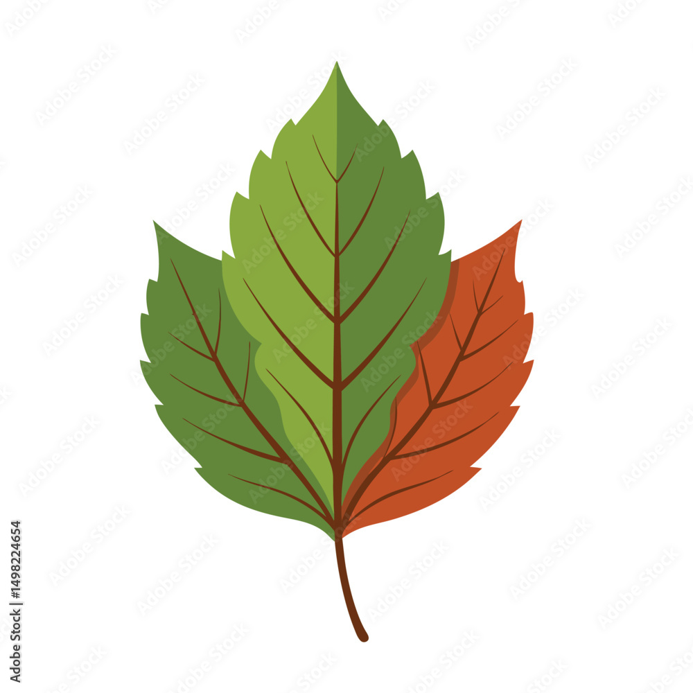 Fototapeta premium hawthorn Leaf vector art illustration. Green leaves isolated on white background . Collection of leaf logo, icon vector design.