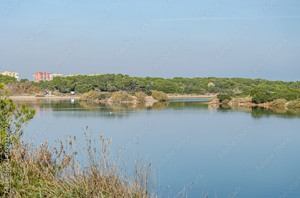 Obraz premium Artificial pond in the Albufera Natural Park, Valencia, Spain