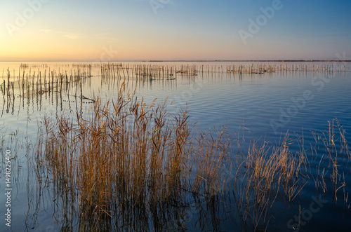 Wallpaper Mural Sunset in the Albufera Natural Park, Valencia, Spain Torontodigital.ca