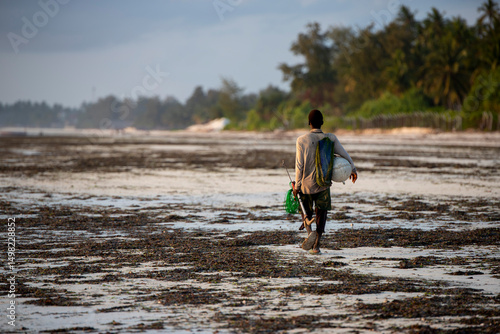 A local fisherman, equipped with fishing gear, tools, and collection containers, sets out to fish at low tide during sunrise on the eastern coast of Zanzibar. Washed-up seaweed.