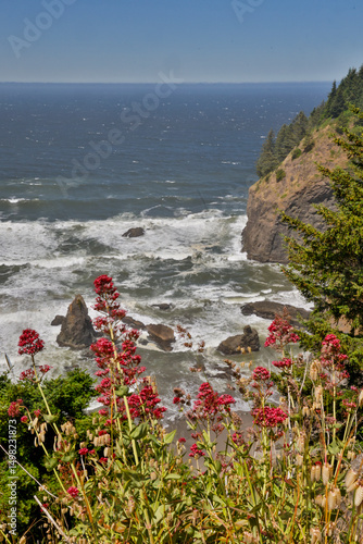 USA, Oregon. Pacific coastline Samuel H. Boardman State Scenic Corridor landscape with wildflowers in foreground