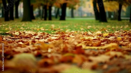 Hojas secas en el piso, movidas por el viento.