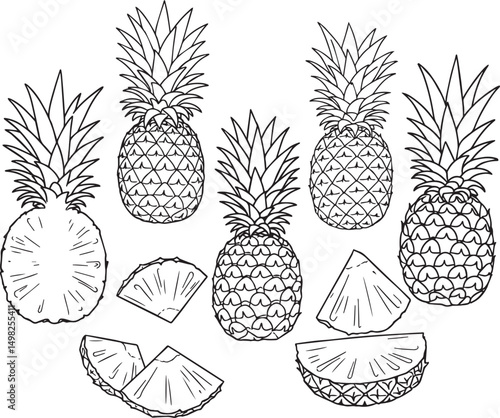 Whole pineapples slices line art tropical fruit drawing