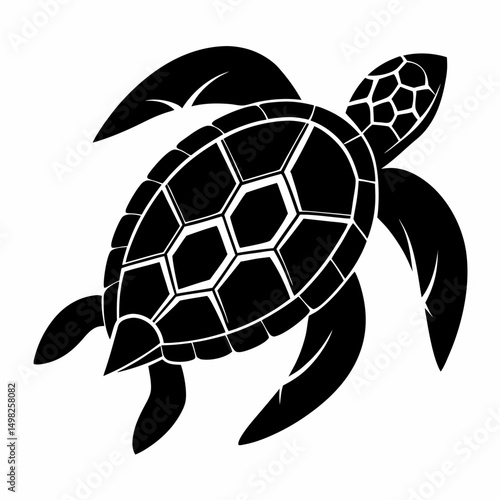 turtle vector illustration