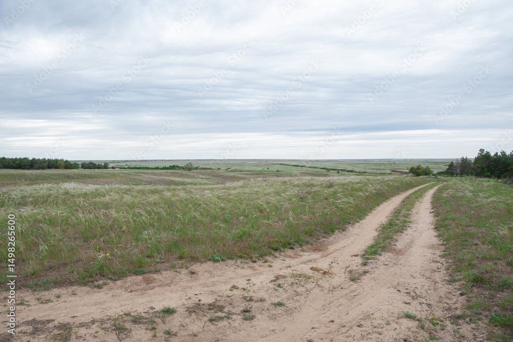 Two winding dirt roads converge and diverge, leading to a picturesque green meadow dotted with trees and shrubs under a cloudy sky, creating a serene and attractive natural landscape scene Two winding dirt roads converge and diverge, leading to a picturesque green meadow dotted with trees and shrubs under a cloudy sky, creating a serene and attractive natural landscape scene