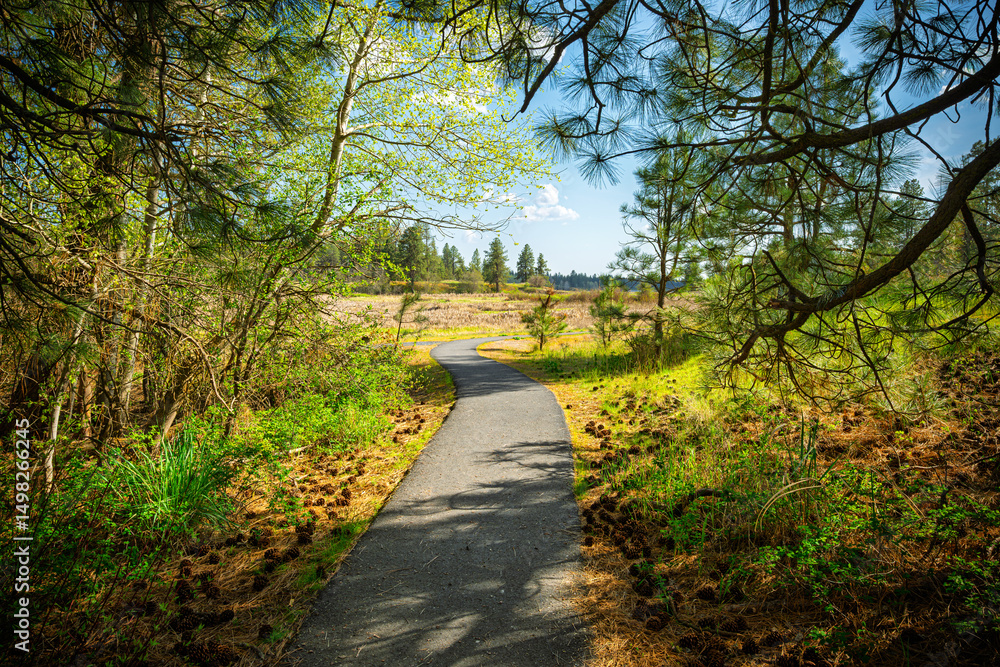 Fototapeta premium The entrance to the 1.6 mile Pine Lake Loop trail at the 23,000 acre Turnbull National Wildlife Refuge in Cheney, Washington State.