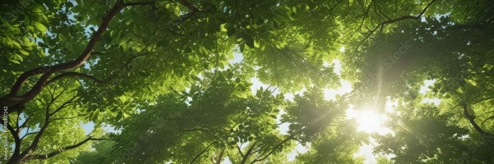 Fototapeta premium Sunlight dappled canopy, vibrant green leaves, sunlight, nature, plant