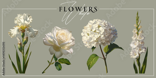White garden flowers isolated on a neutral background. Vintage painting style illustration.