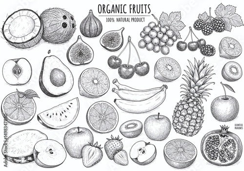 Hand-Drawn Organic Fruits Collection, Vintage Engraving Style
