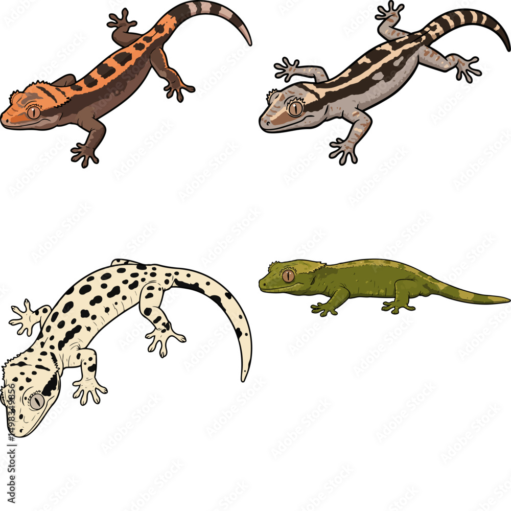 Fototapeta premium gecko image set