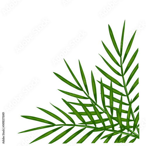 Palm leaves border illustration 