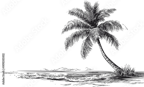 Black and white sketch of a solitary palm tree on a sandy beach landscape. Vector illustration