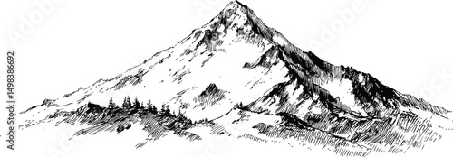 Detailed black and white sketch of a mountain range with pine trees, artistic drawing. Vector illustration