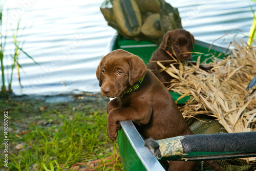 Wall Mural S00006-080   REL00010-S00006