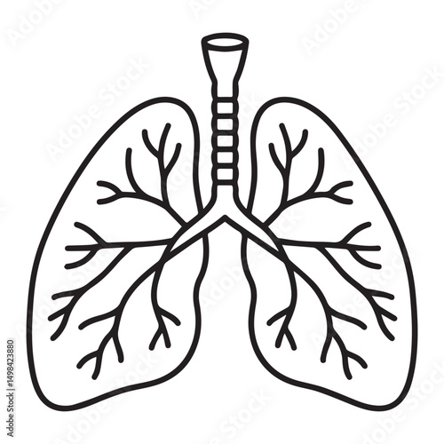 A minimalistic, black-and-white line art illustration of human lungs