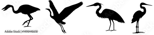 Silhouettes of Wading Birds in Various Poses – Heron, Crane, Egret Vector Set in Black and White for Wildlife, Nature, and Birdwatching Themes

