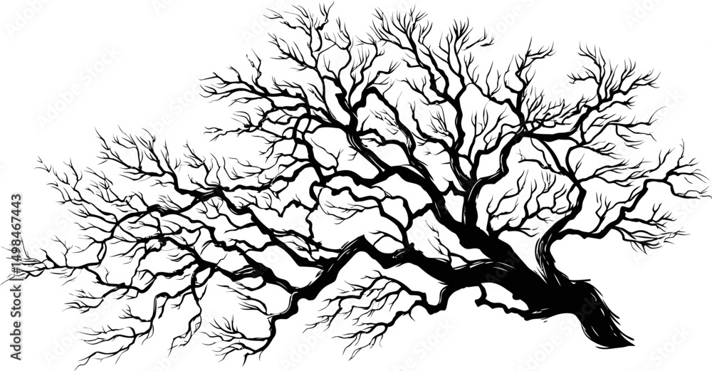 Obraz premium Silhouette of bare tree branches against, detailed illustration. Vector illustration