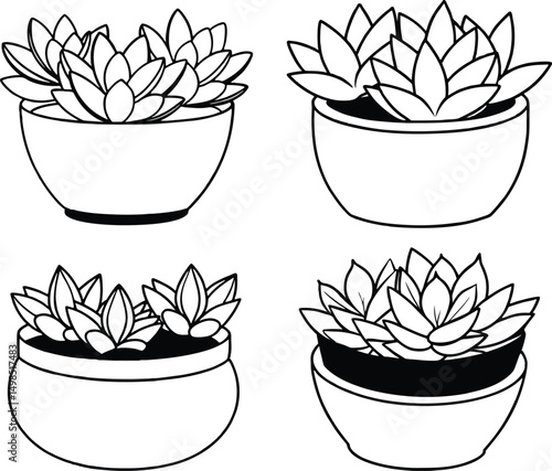 Line Art of Potted Succulents illustration.
