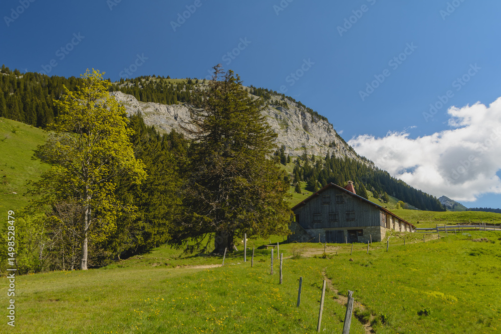 Fototapeta premium Du pas du Roc, à Champlaitier