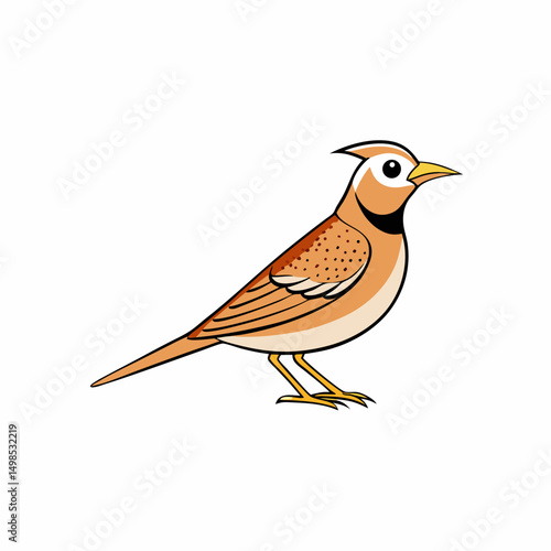 Lark Bird Perched On White