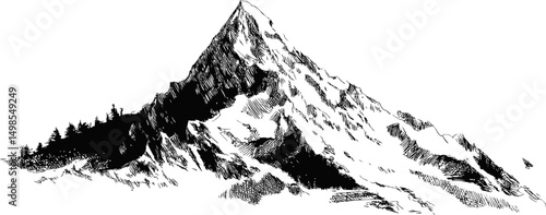 Black and white drawing of a mountain with trees at the base and detailed textures. Vector illustration