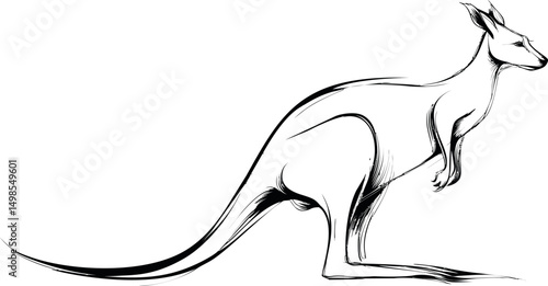 Dynamic black and white sketch of a kangaroo in profile, fluid artistic style. Vector illustration