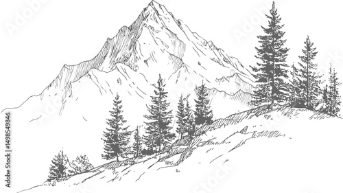 Black and white mountain sketch with pine trees on a hillside landscape. Vector illustration