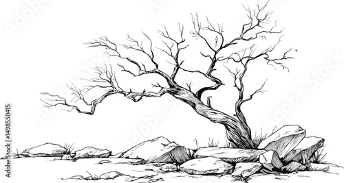 Leafless tree with twisted branches on rocky ground sketched in black and white. Vector illustration