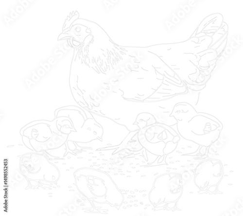 The drawing of the hen line brings the chick to eat the shell rice. It is a painting exercise for children and a vector form meditation exercise.