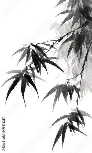 bamboo leaves isolated on black background