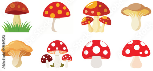 set of mushrooms