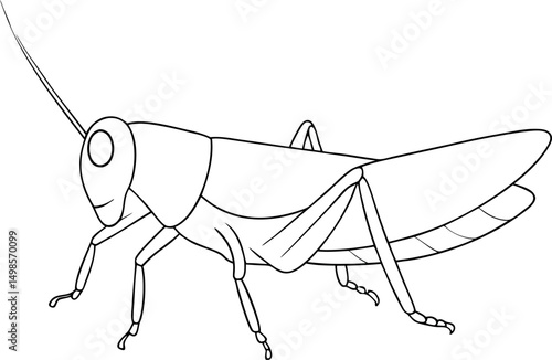 Grasshopper in black outline shows its long legs and antennas isolated on transparent background