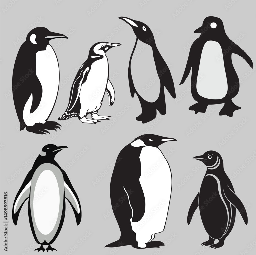 Obraz premium Penguin Black & White Vector Set