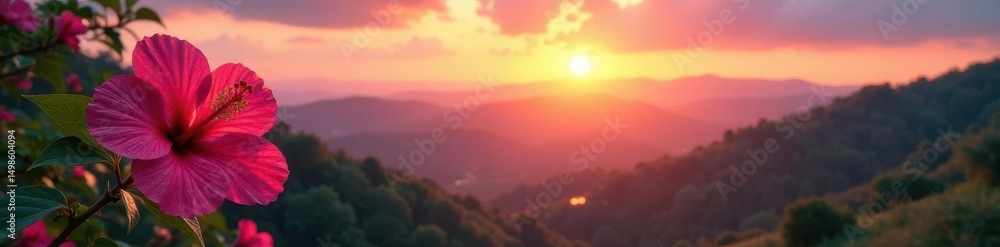 Sunrise paints pink hibiscus, distant hills glow , sun, plant Sunrise paints pink hibiscus, distant hills glow , sun, plant