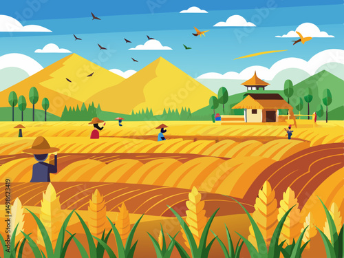 rice field
