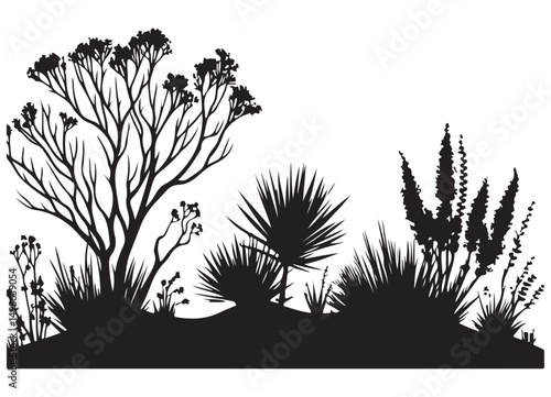 Silhouette Wild Desert Plants Vector Illustration Design Botany Graphic