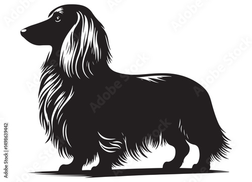 Long Haired Dachshund Dog Breed Silhouette Vector Illustration Artwork