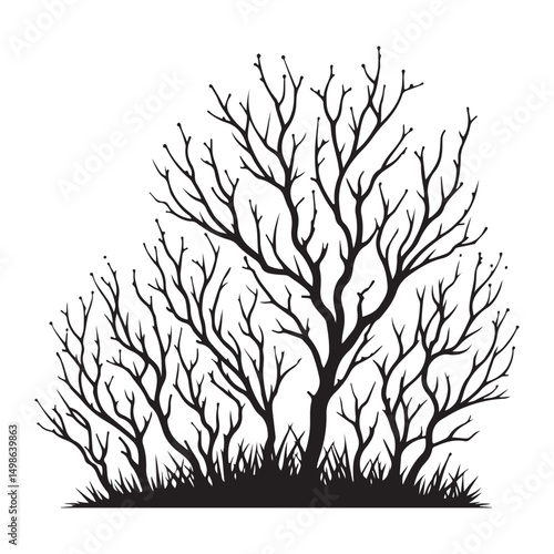 Silhouette of Bare Trees and Bushes Vector Illustration Graphic