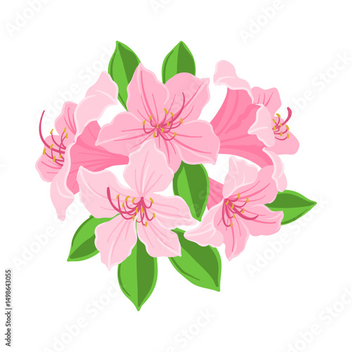 vector drawing flowers and leaves of Rhododendron isolated at white background, Azalea floral elements, hand drawn botanical illustration