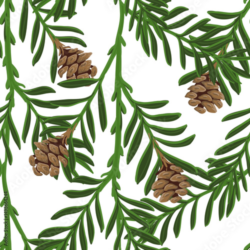 vector drawing seamless pattern with branch of coastal redwood tree with green leaves and cones, Sequoia sempervirens at white background, hand drawn illustration