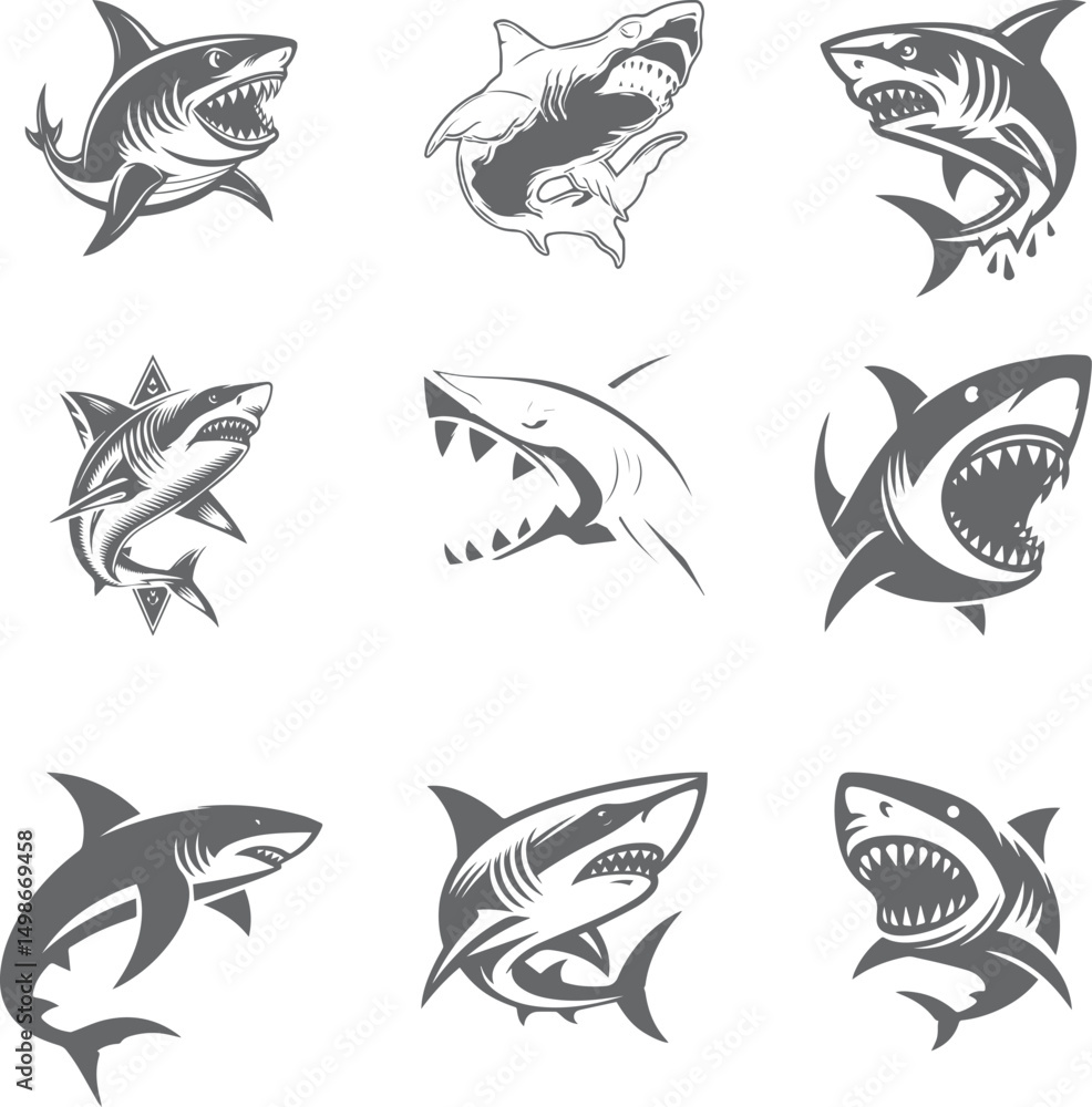 shark vector shark vector