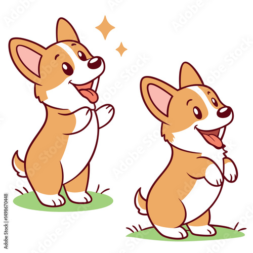 Two cute corgi dogs happily standing with their tongues out on a white backdrop