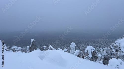 Wallpaper Mural View of the white rocks and the winter forest on Mount Polyud. Lappish spruces on Mount Polyud in the Perm region in winter. In winter, there is a lot of snow and frost on the trees in the Urals. 4К Torontodigital.ca