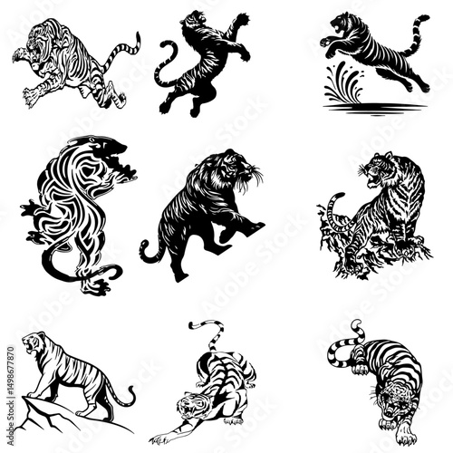 tiger  vector Image 