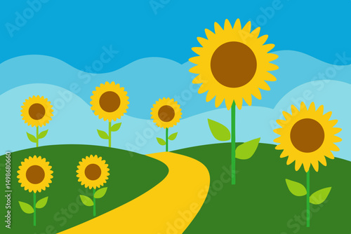 Bright yellow sunflowers bloom naturally in a summer field under a clear blue sky