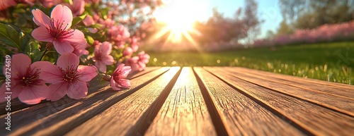 Pink blossoms on wood, sunset garden