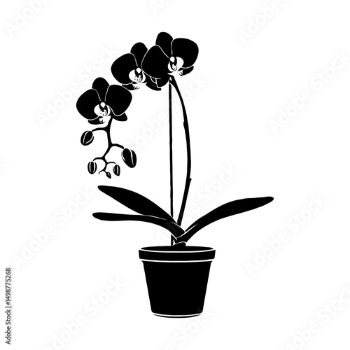 Black Phalaenopsis orchid in pot, silhouette style, white background, concept of minimalism