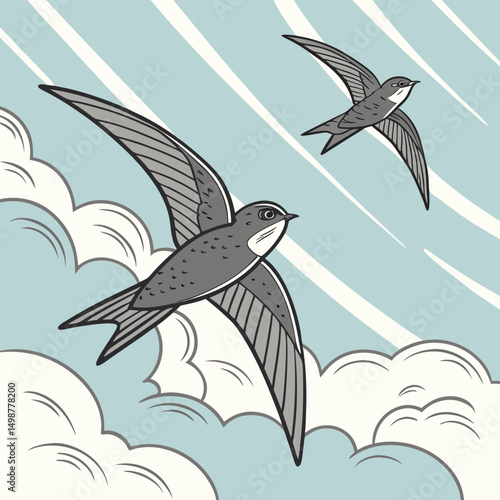 Vector illustration of a chimney swift bird flying gracefully in the sky, perfect for nature or wildlife designs.