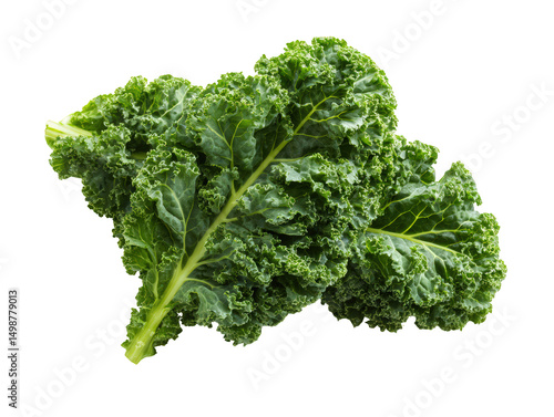 Fresh kale leaves are vibrant and lush, showcasing their rich green color and textured surface. This nutritious leafy green is perfect for salads, smoothies, and healthy dishes