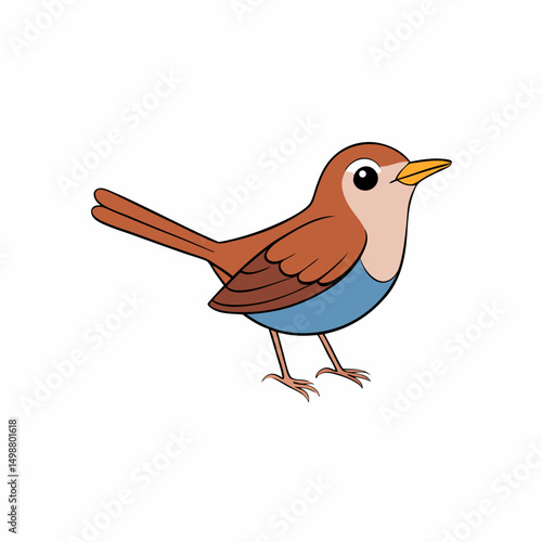 Dipper Bird Perched On White